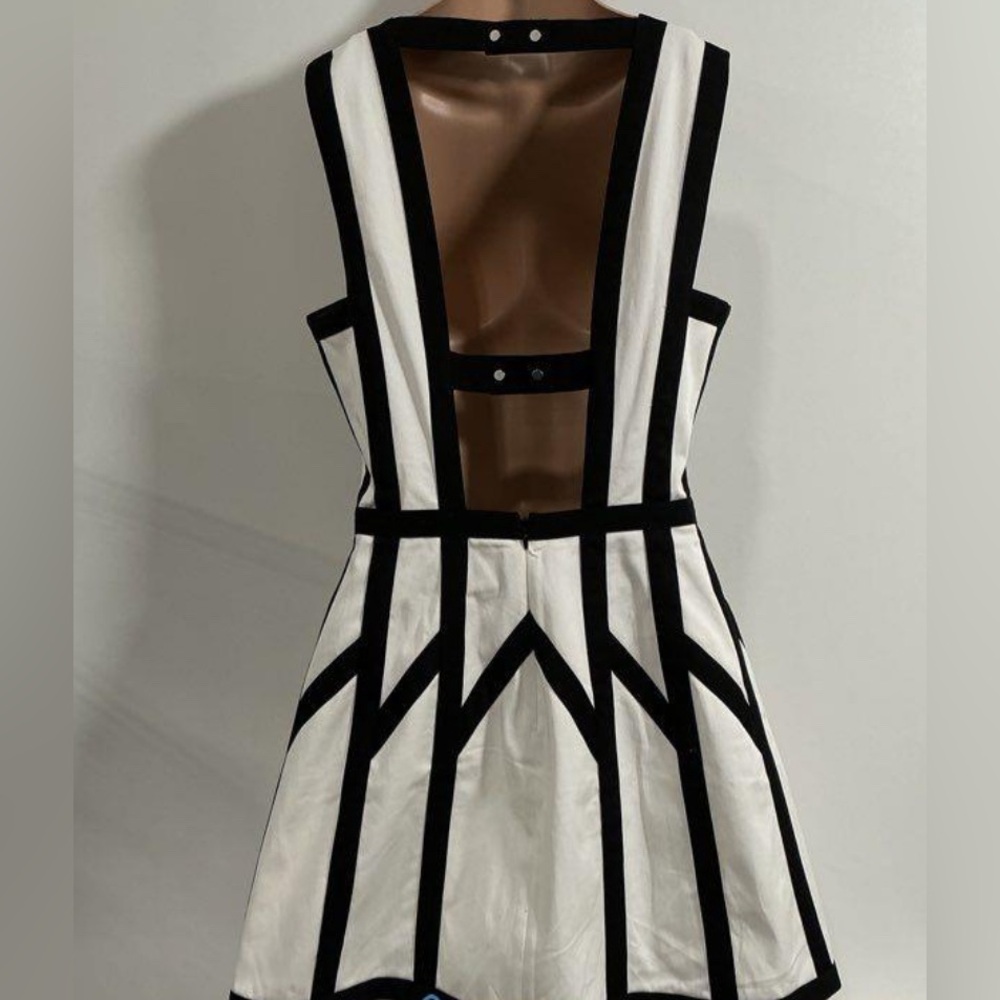 Robert Rodriguez, size 6, Graphic Spear Fit & Flare, Black & White Dress, EUC - Picture 5 of 7